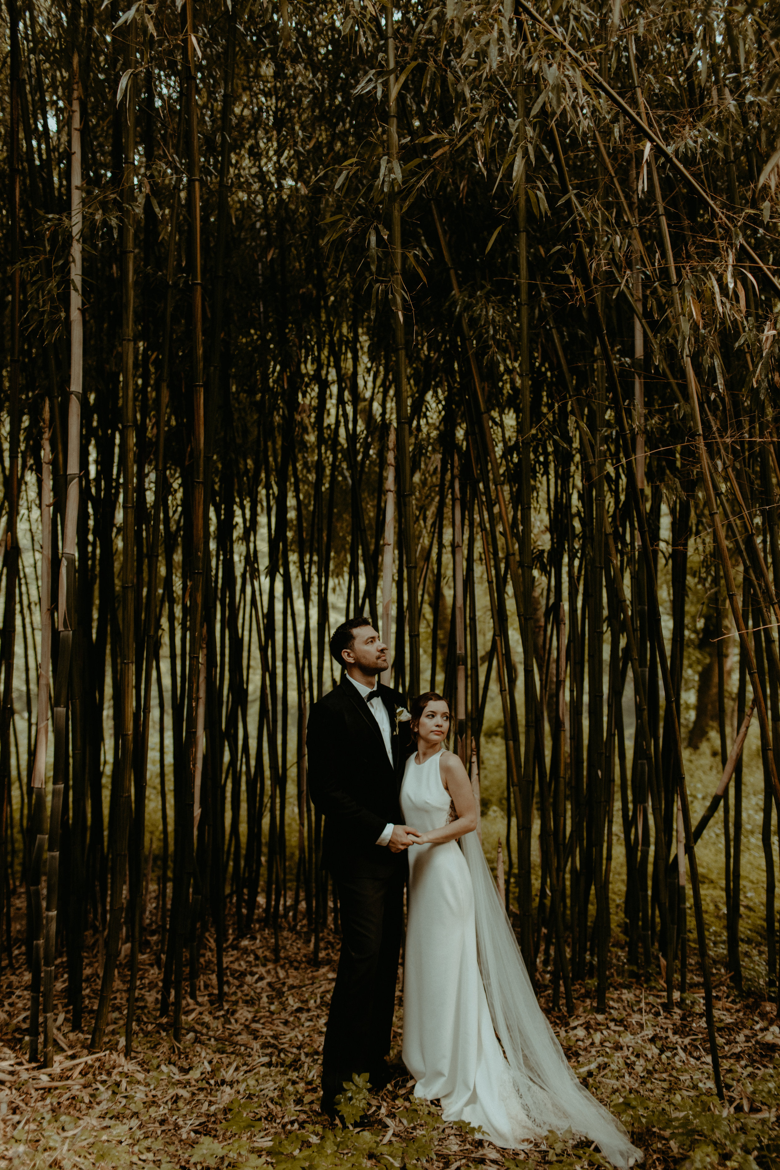 a romantic backyard wedding <> liz & joe <> philadelphia wedding 