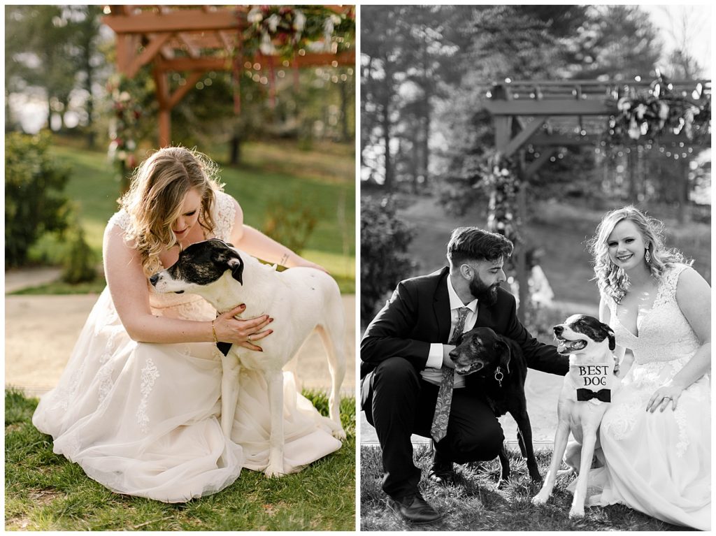 bride and groom with dogs