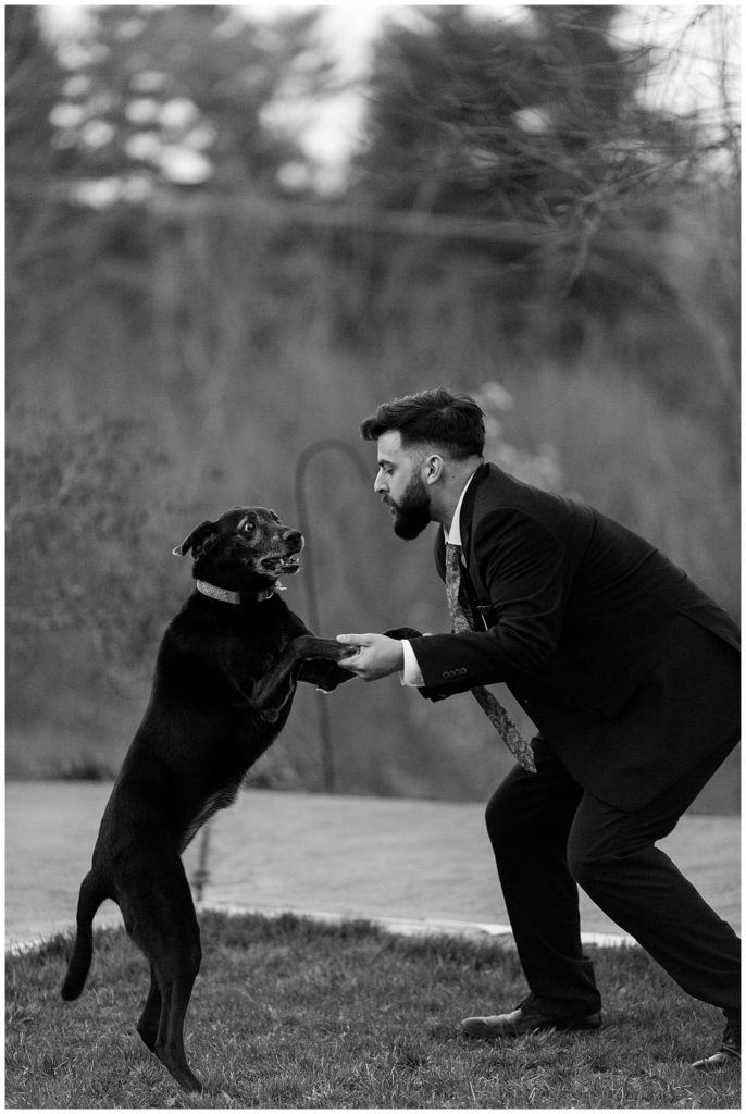 groom dances with dog at wedding reception 