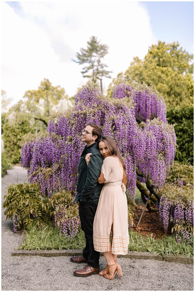 engagement photos in wisteria in spring 