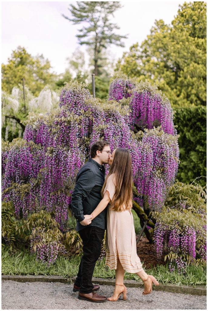 engagement photos in wisteria gardens 