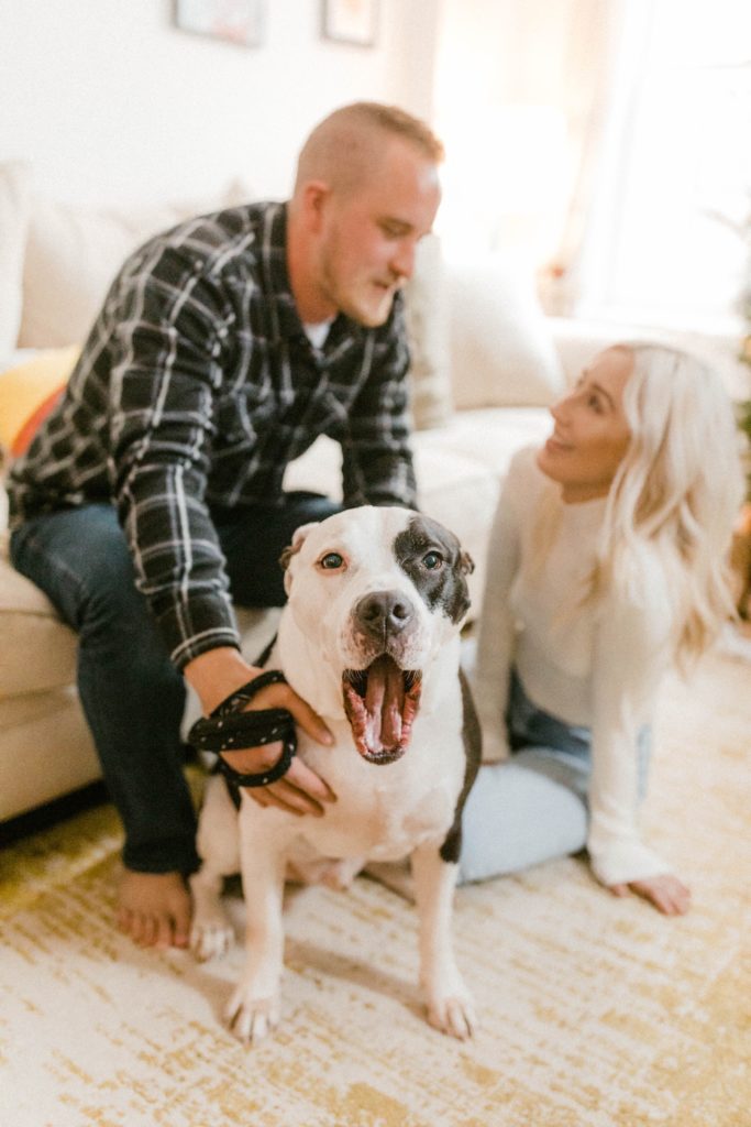 a dog yawning at in home engagement session 