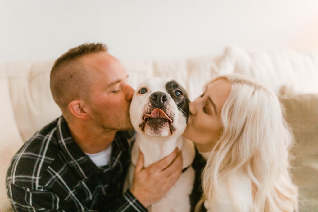 a dog being kissed at in home engagement session