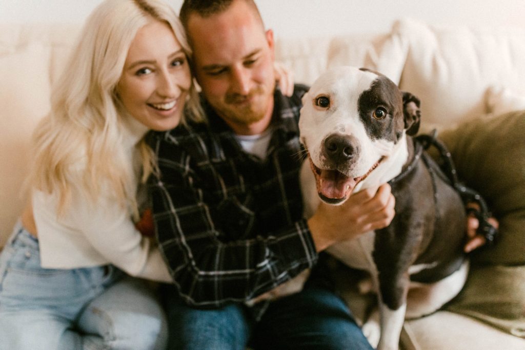 a dog smiling at in home engagement session
