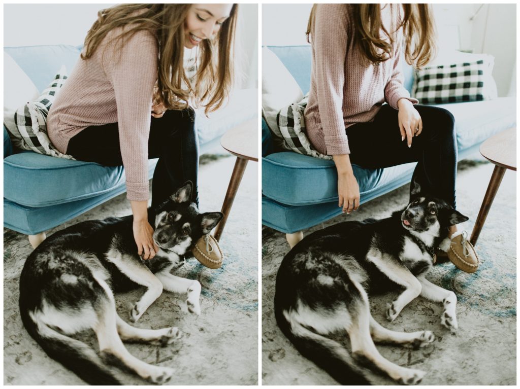 cute dog at engagement session