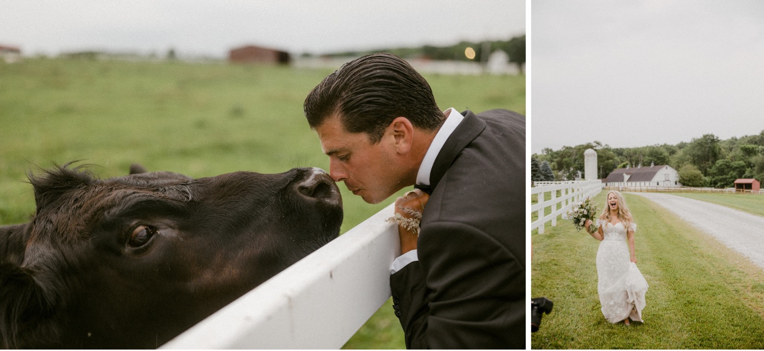 groom touching noses with cow bride laughing
