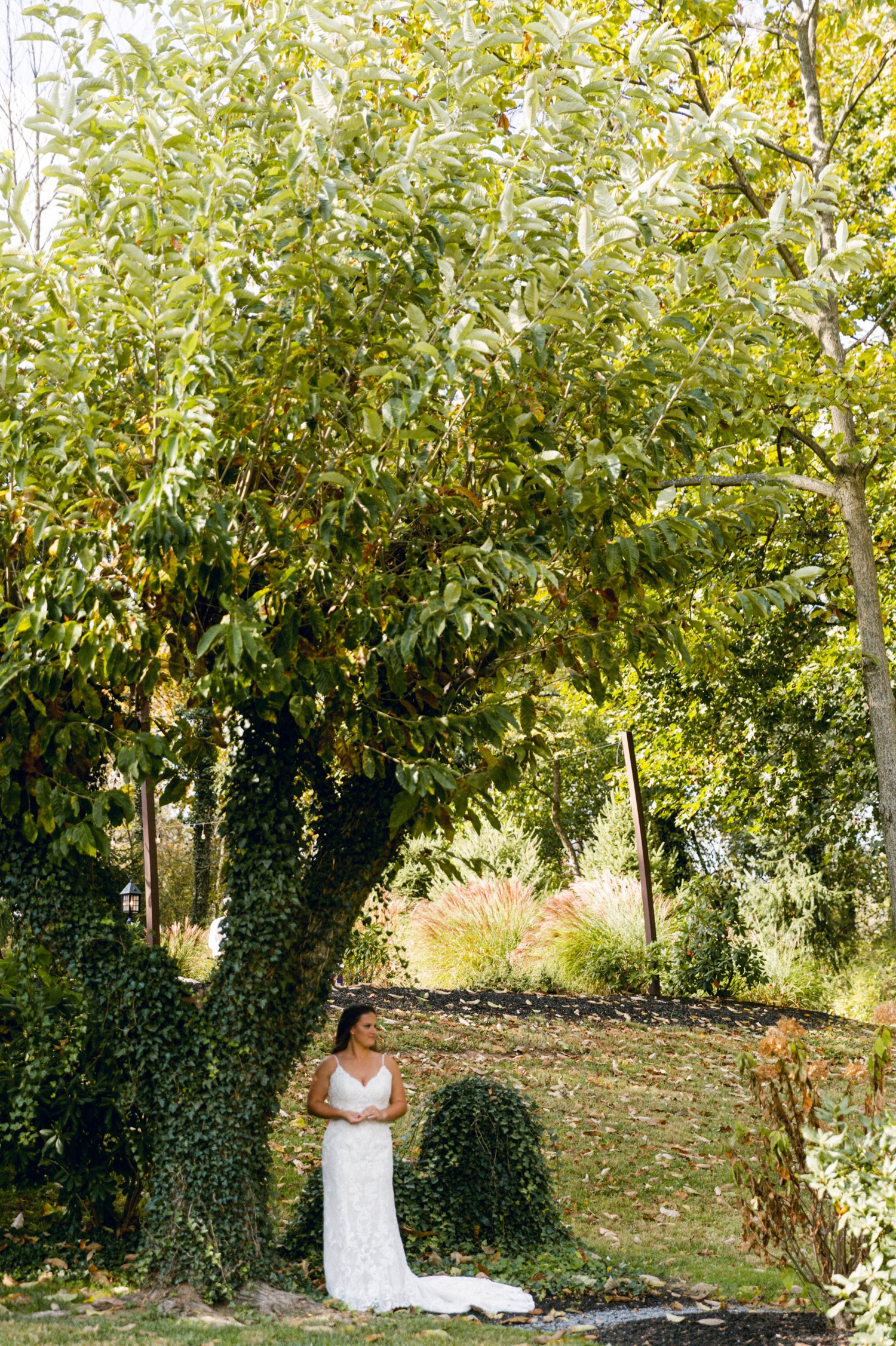 bride standing under trees