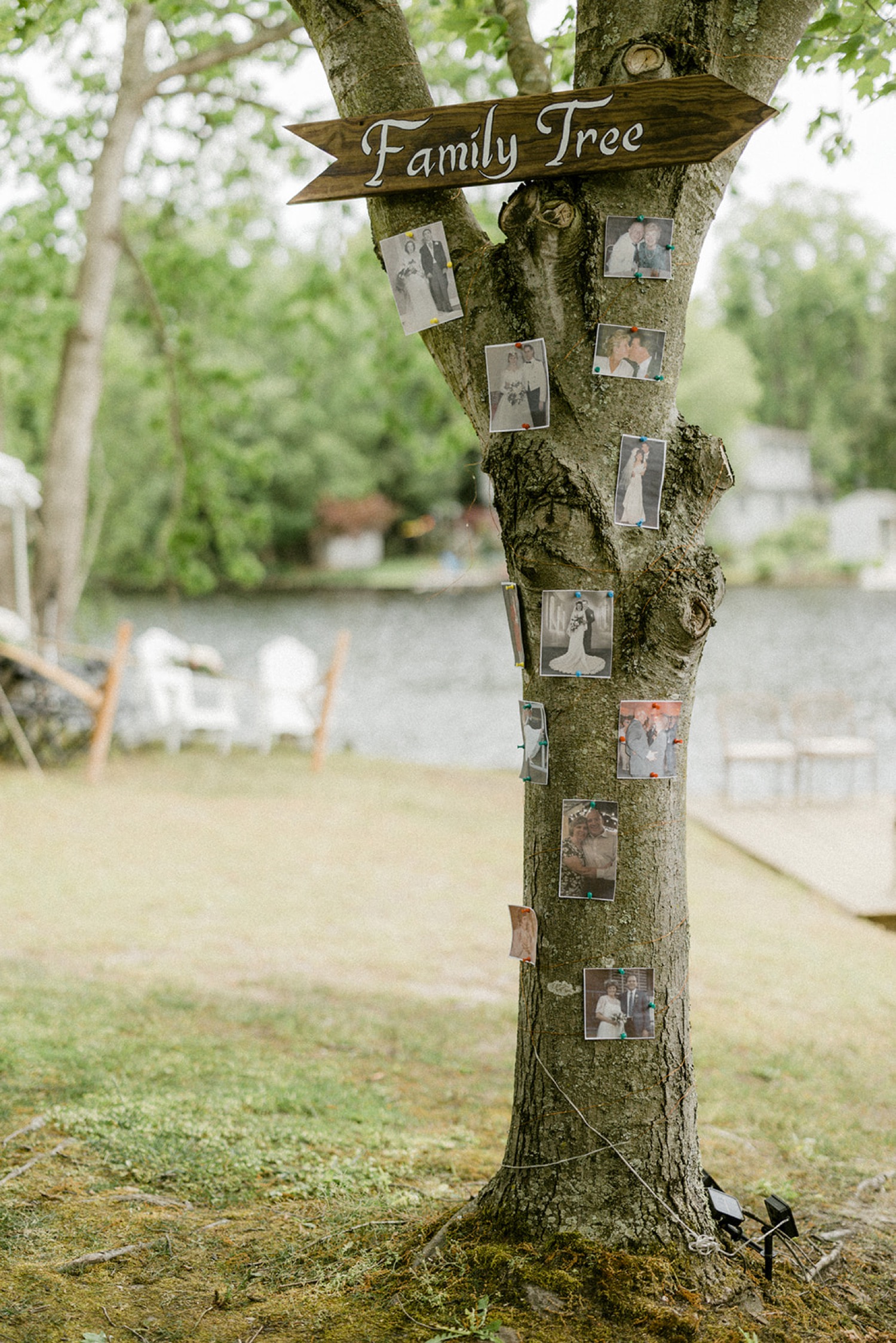family tree with photos of family lakeside backyard micro wedding