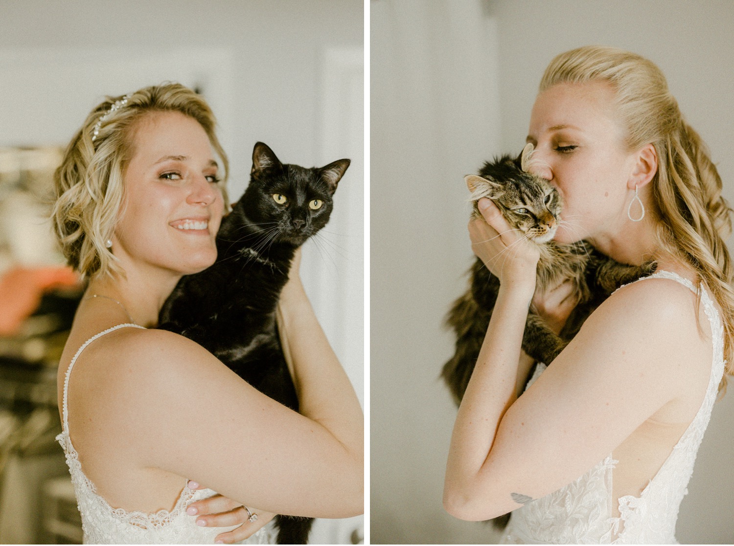 brides holding and hugging cats