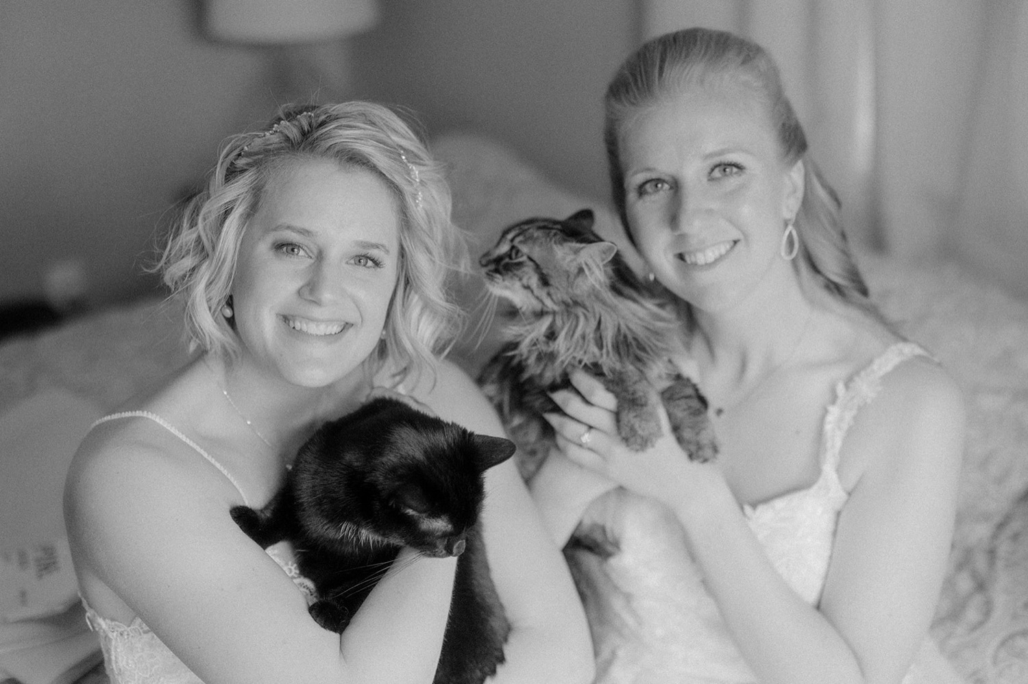 black and white brides smiling holding cats