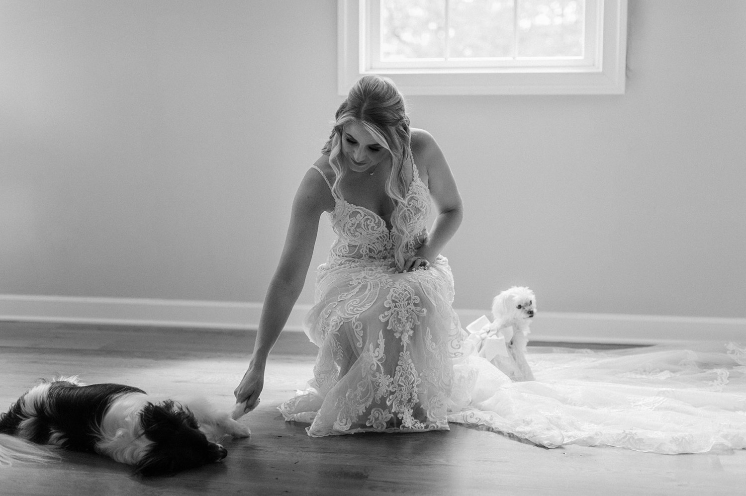 black and white bride petting dogs in wedding dress