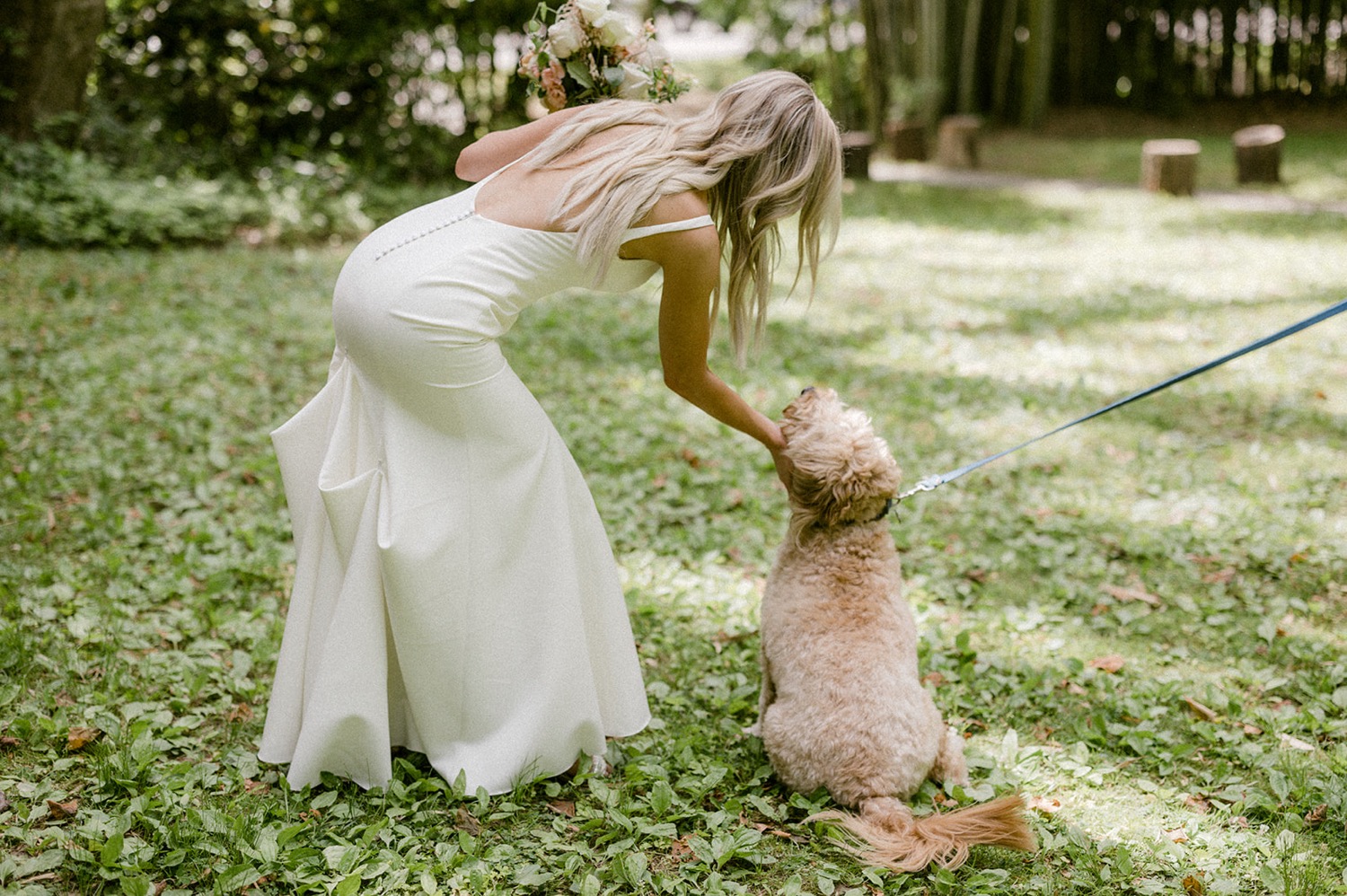 bride petting dog sitting in grass