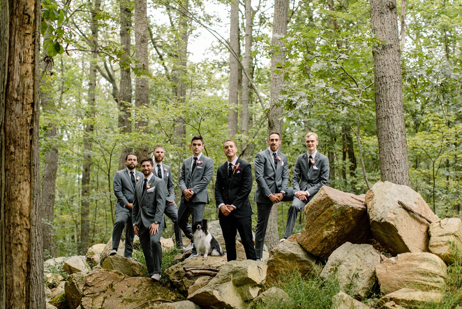 groomsmen and dog serious photo on rocks in forest