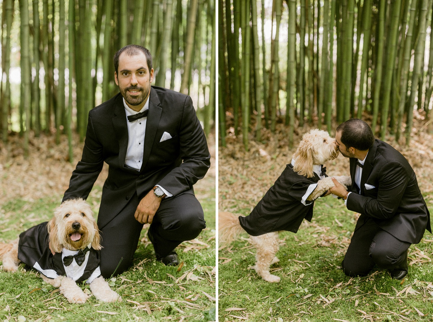 groom petting and kissing dog wedding