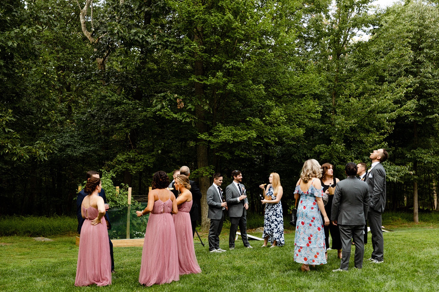 guests during cocktail hour in colorful backyard micro wedding
