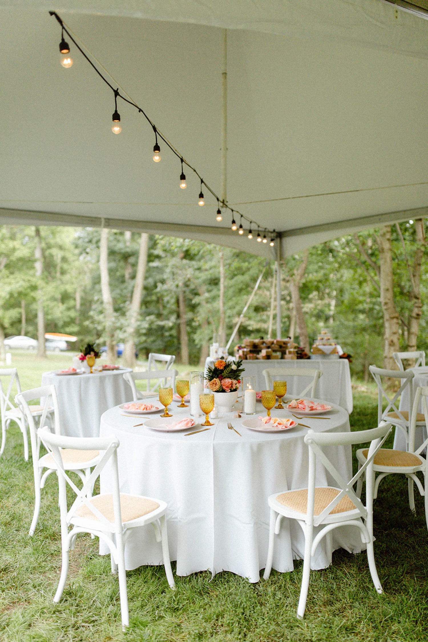 reception tent backyard bohemian micro wedding