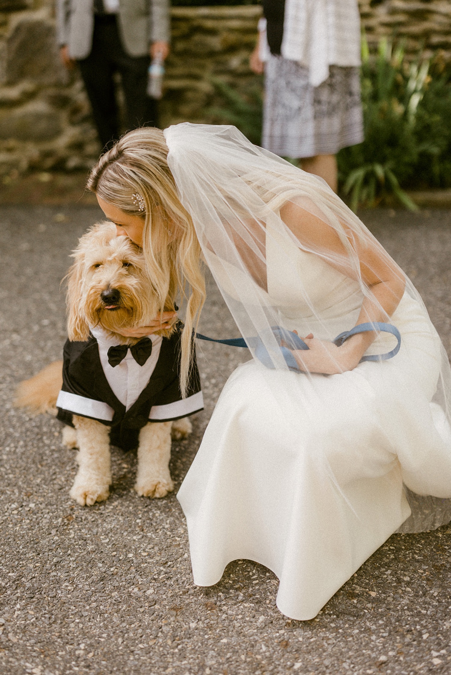 bride kissing dog in groom costume at outdoor wedding