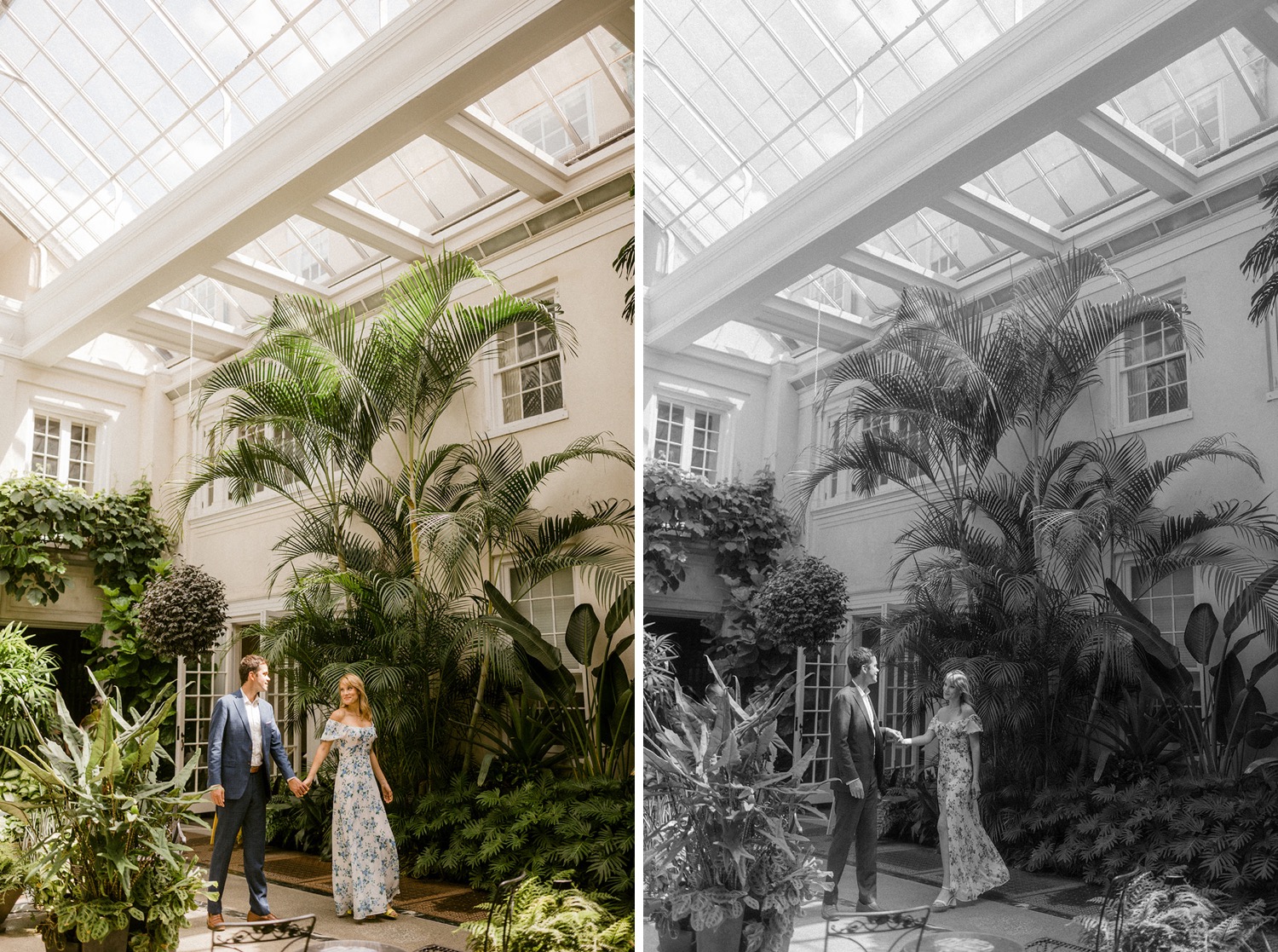 couple engagement session at longwood gardens in greenhouse