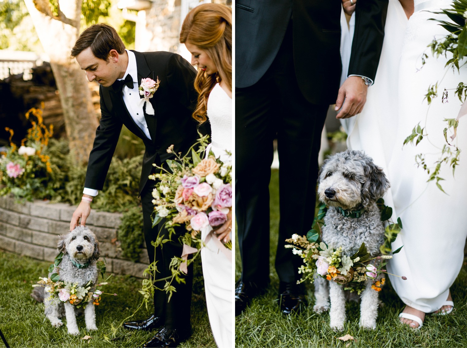 bride and groom petting dog ring bearer