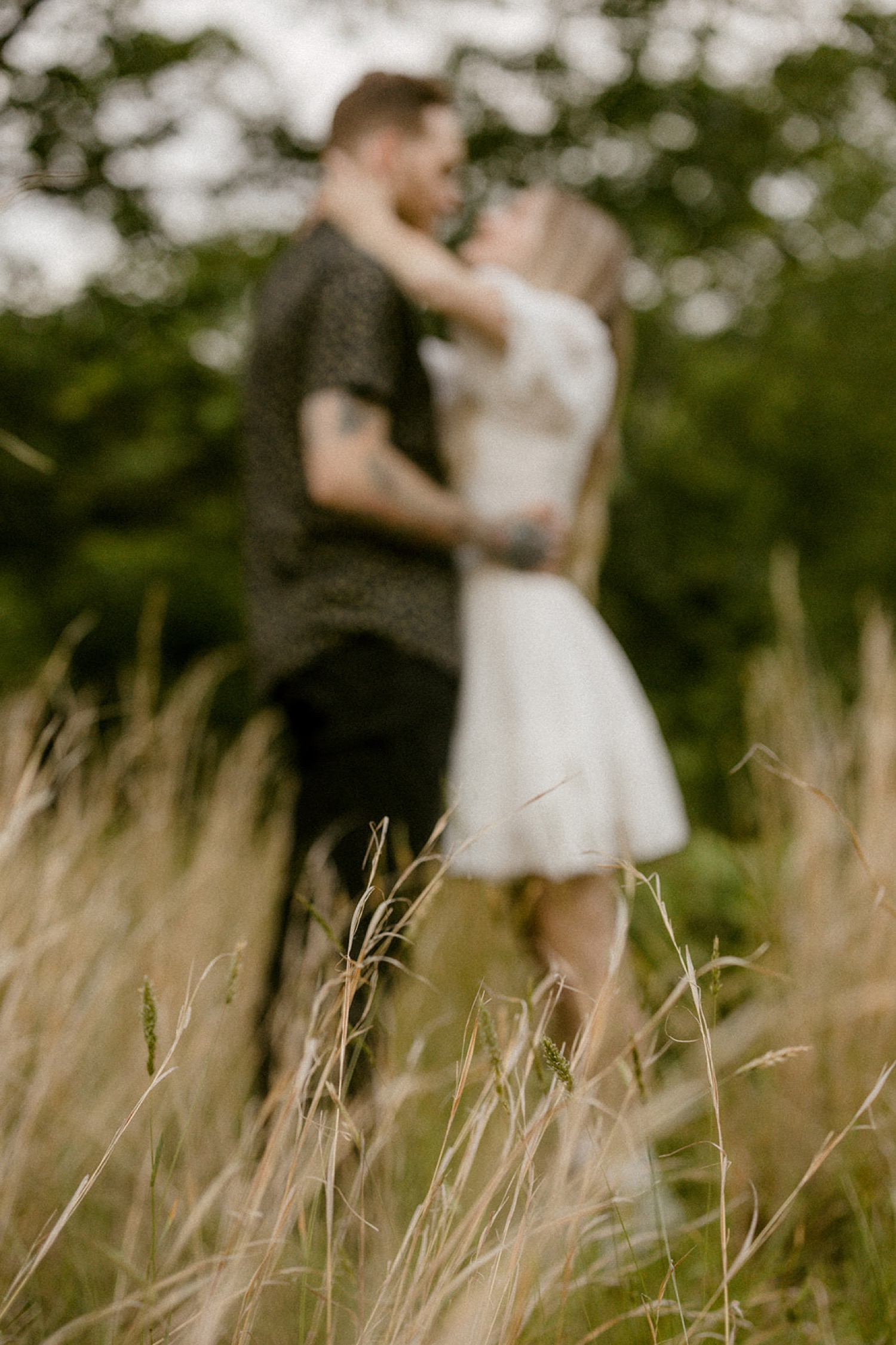 blurry couple kissing in wheat field
