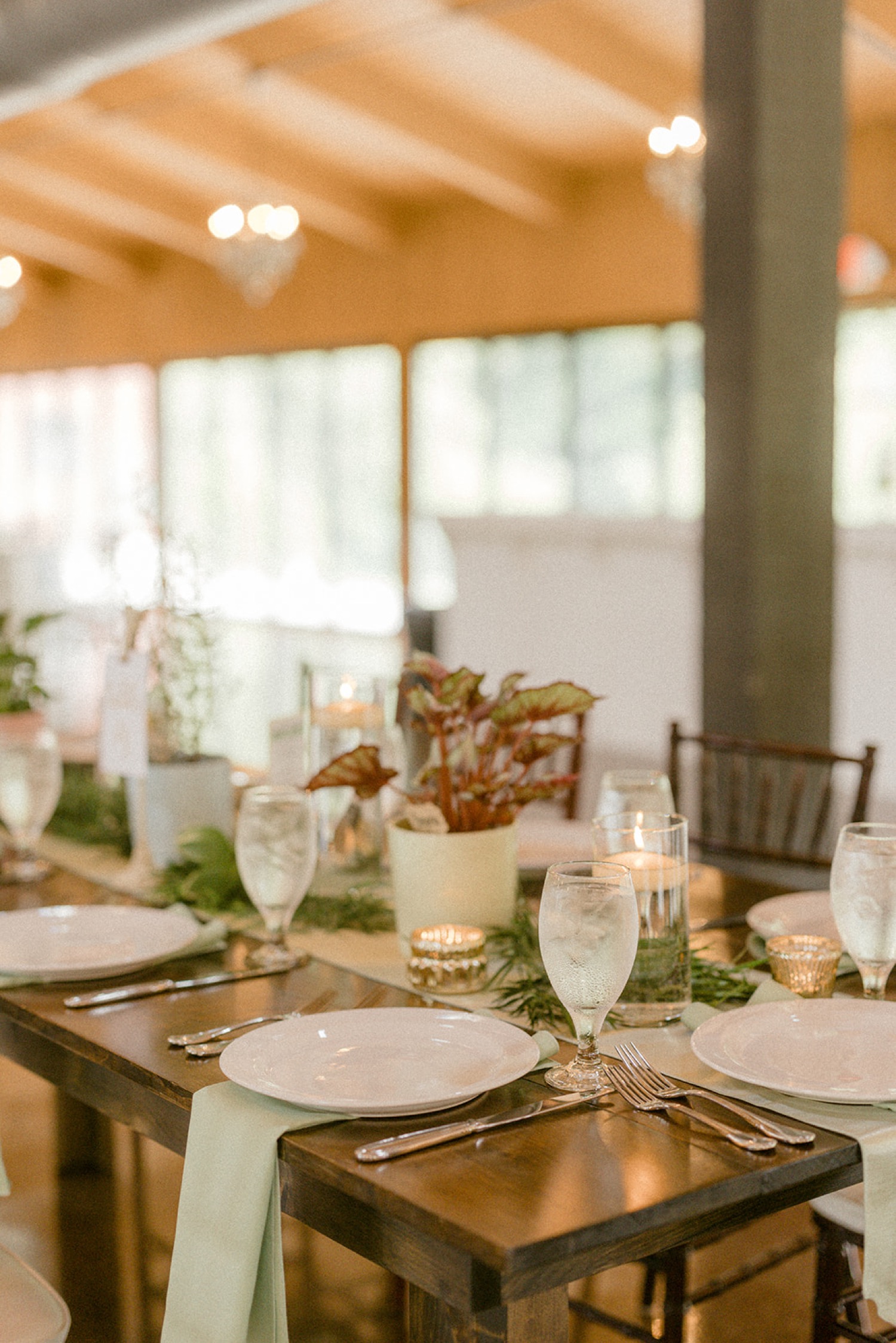 plants table centerpieces Historic Acres of Hershey Wedding