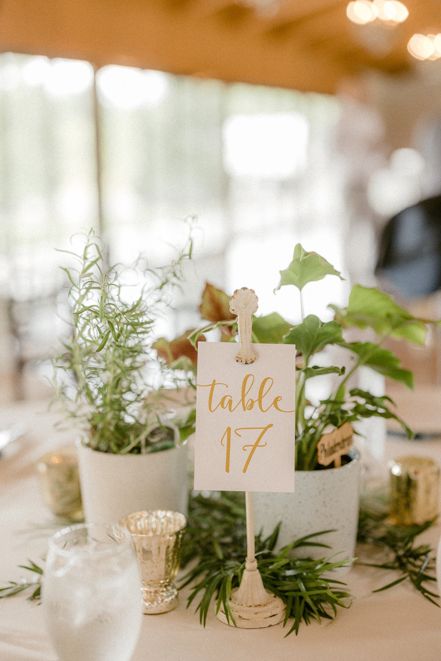 table number and plants centerpiece Historic Acres of Hershey Wedding