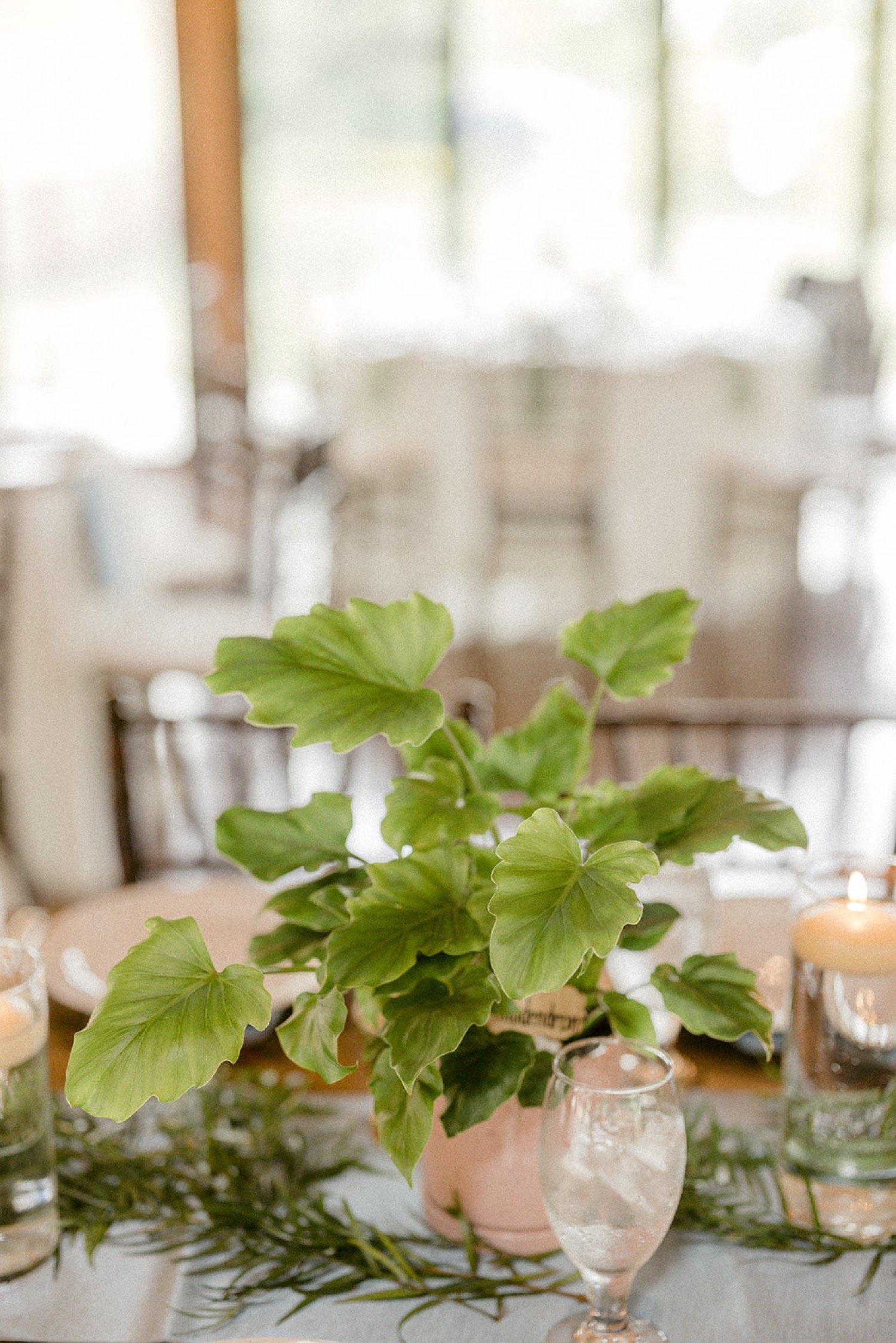 plant table centerpiece wedding reception